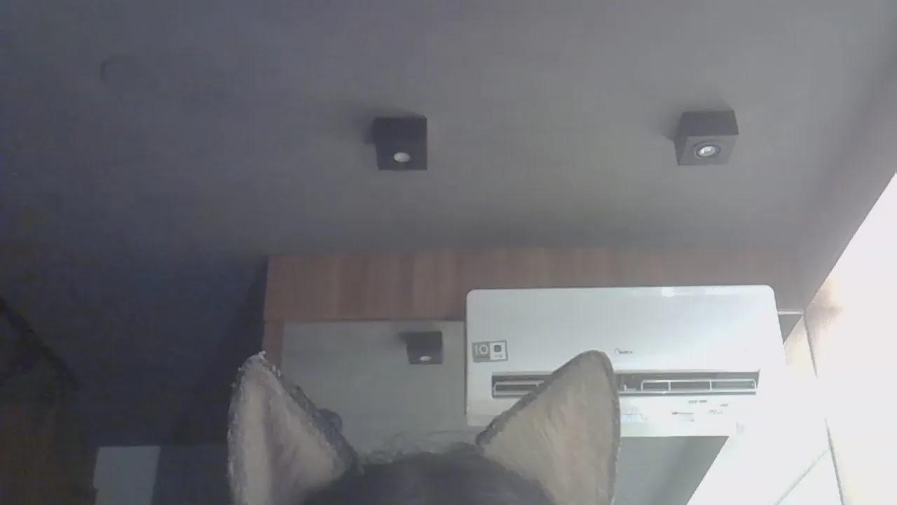 SkinnyKittenCam —  #femdom #armpits #schoolgirl #milk #masturbation #taboo #striptease